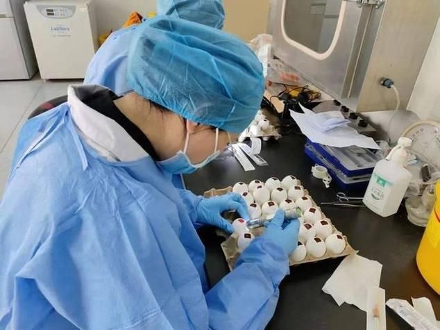 河源近3天新增感染趋势回落/河源新增病例
