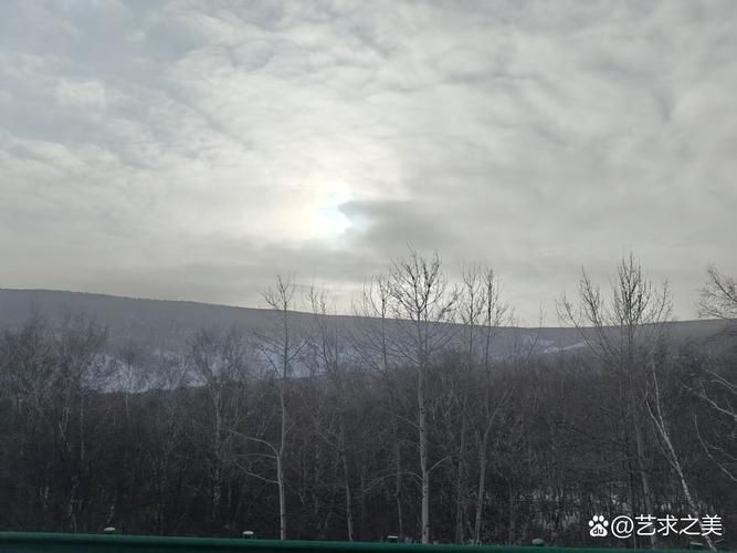 内蒙古自治区呼伦贝尔市新巴尔虎左旗足不出户区核酸阳性详情(新巴尔虎右旗呼伦镇)