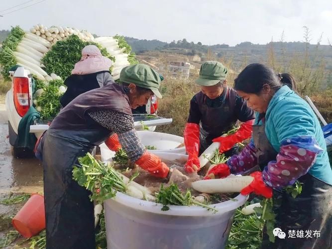  南华县疫情足不出户最新消息:南华县头条新闻