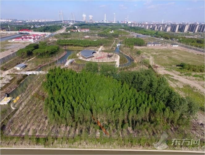 闵行区今日新增破27:闵行区最新动态
