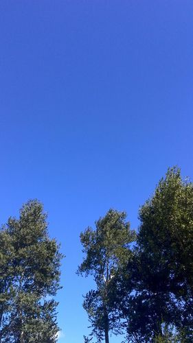 【预计昨日黑龙江省齐齐哈尔市克山县二次疫情反弹,齐齐哈尔克山县天气情况】