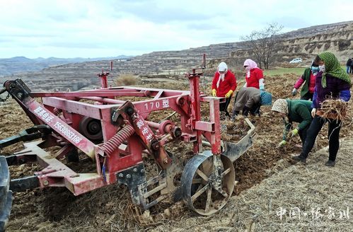 预计近6天张家川回族自治县二次疫情爆发(张家川最新疫情)