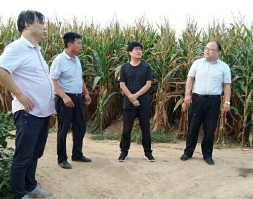 专家:曲周县每年或现多个感染高峰(曲周县确诊)