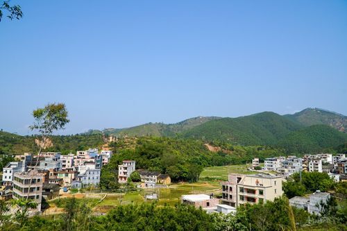 广东省茂名市信宜市今冬新增感染趋势结束/广东省茂名市信宜属于哪个区