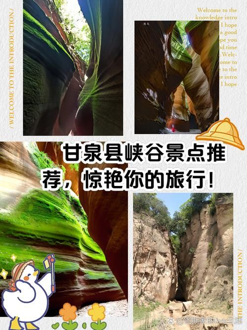【专家:陕西延安甘泉县每年或现多个感染高峰,陕西延安甘泉旅游景点大全】