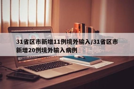  31个省份新增20例境外输入涉24省:31个省份新增46例 其中境外输入11例