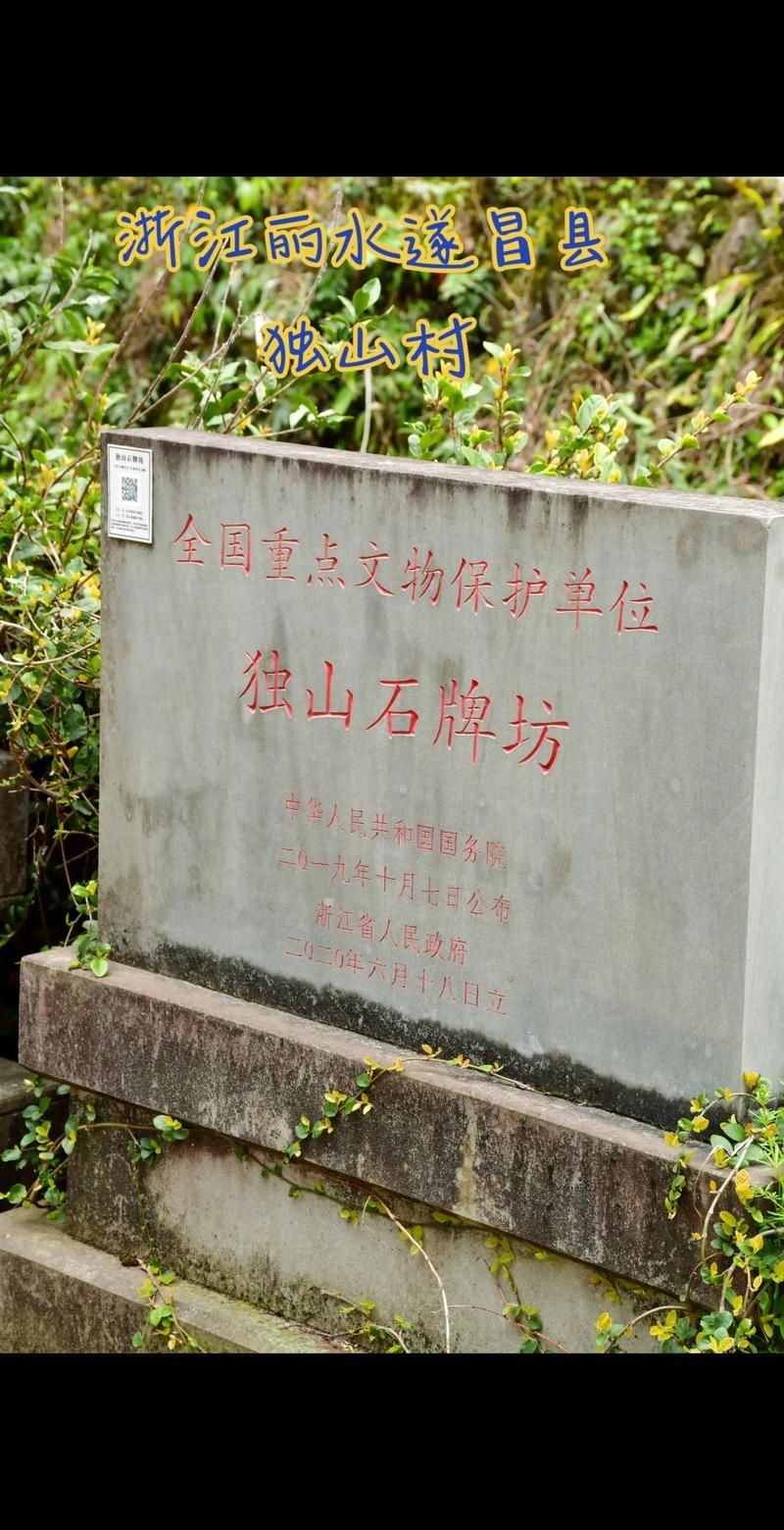 一张图看懂浙江丽水遂昌县近期轨迹公布_丽水市遂昌县在哪儿