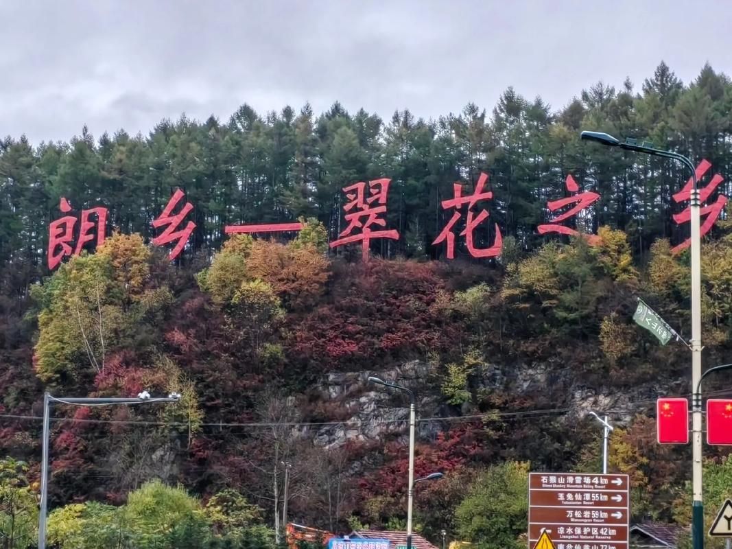 【黑龙江伊春大箐山县最新疫情通报：寻找同轨迹人员_黑龙江省伊春市大箐山县疫情】