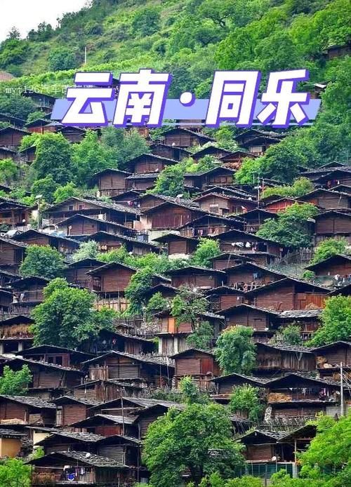 云南省迪庆藏族自治州维西傈僳族自治县通报14例重症详情(迪庆维西县高清地图)