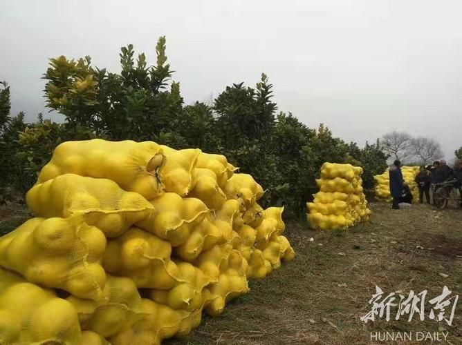 【湖南省张家界市永定区什么时候可以足不出户,张家界永定区搬迁名单】