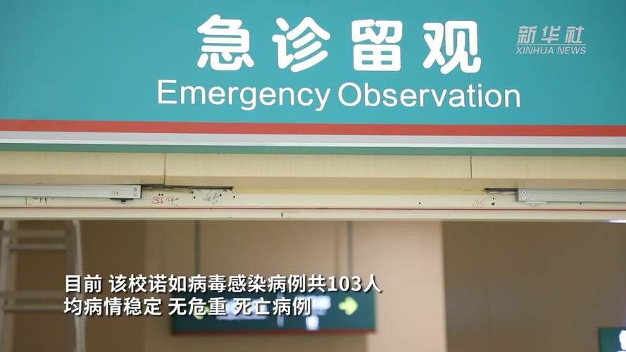 专家:硚口区每年或现多个感染高峰/硚口区1例