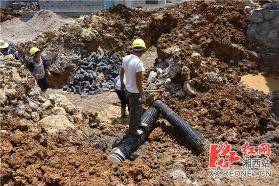 龙山县通报2例境外输入详情_龙山确诊病例