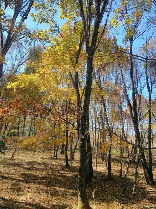  黑龙江省双鸭山市宝清县近6天新增30例本土确诊:双鸭山宝清县密切接触者