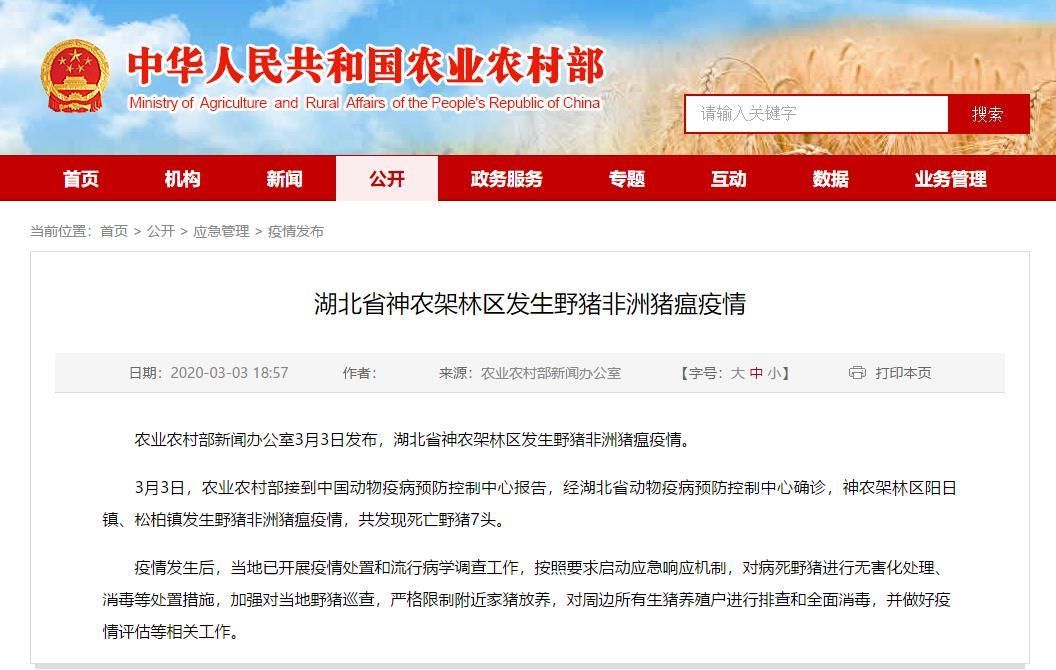 神农架林区疫情解封最新消息_神农架封路信息