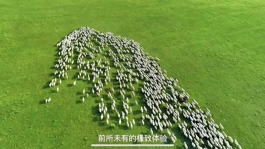 内蒙古自治区锡林郭勒盟太仆寺旗昨日无新增核酸阳性/已婚女人梦见家里被盗报警了