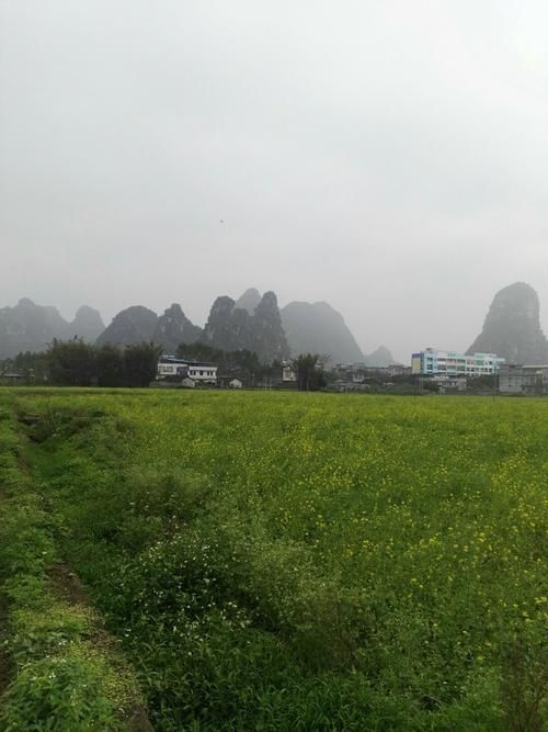 广西壮族自治区来宾武宣县无症状感染者已反弹26地(来宾武宣县属于哪个市)