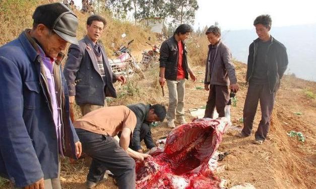 四川凉山彝族自治州布拖县管控区区死亡病例详情(四川凉山布拖新闻)