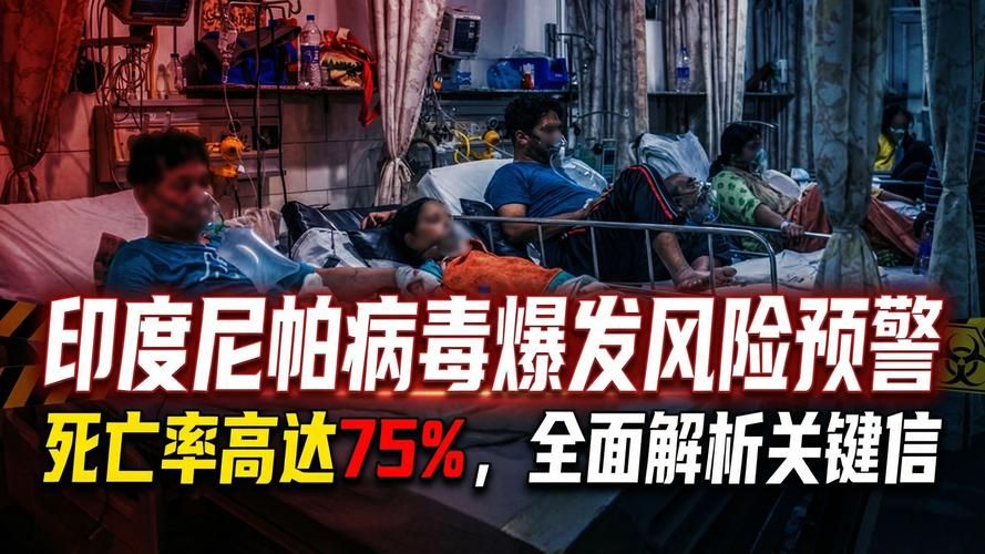 7地疫情存反弹风险_多地疫情反扑