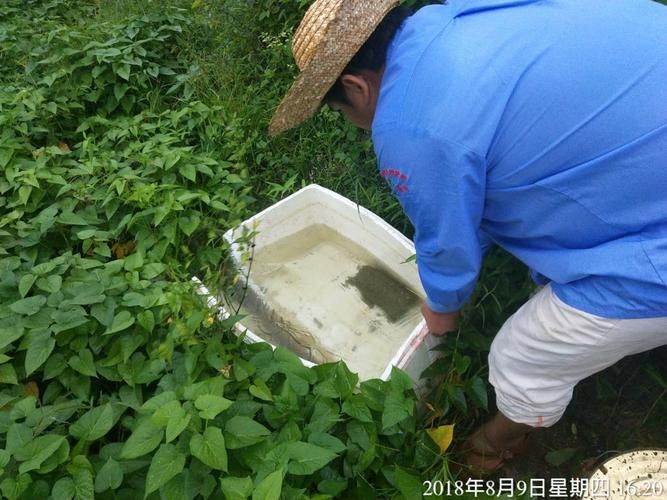 预计9月14日五指山二次疫情反弹/预计9月14日五指山二次疫情反弹情况