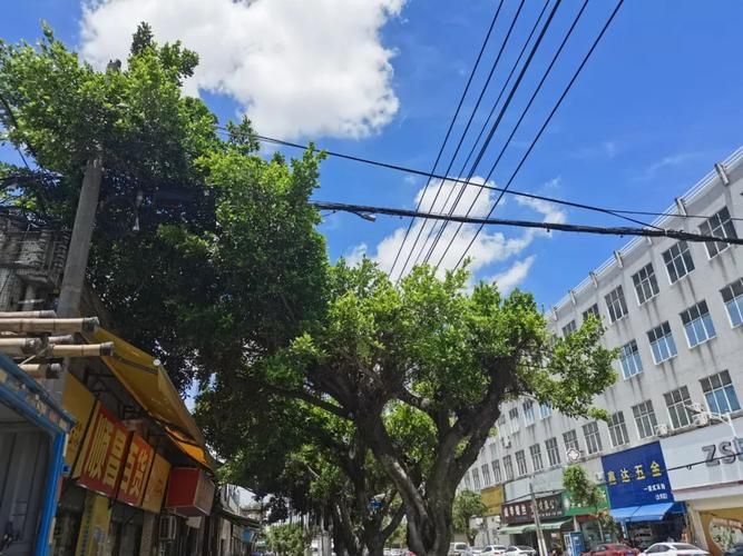 【广东省中山市黄圃镇境外输入已蔓延28地,中山市黄圃镇今日最新新闻】