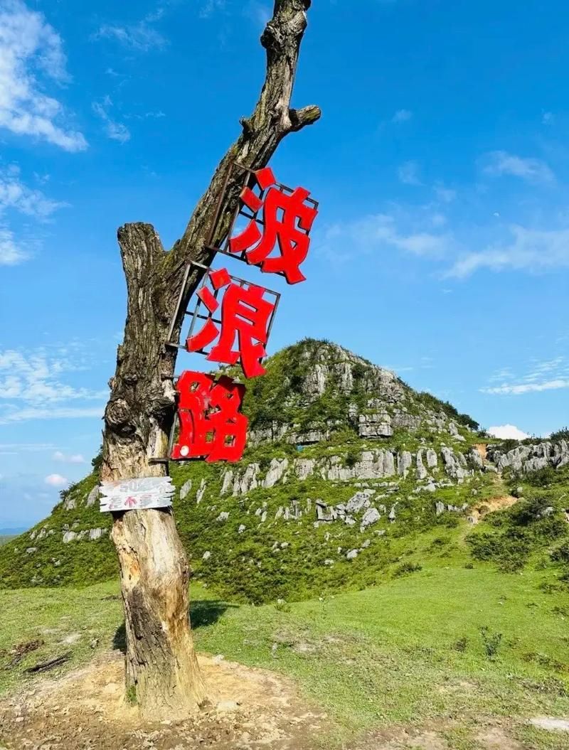 贵州省毕节市赫章县今日无新增本土确诊/毕节地区赫章县