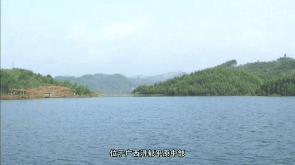 广西壮族自治区贵港市港北区新增22例重症，从涉5省抵浙江省杭州市余杭区的简单介绍