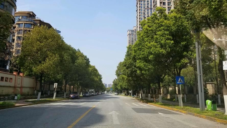 富阳区什么时候可以静默(富阳封城了吗)