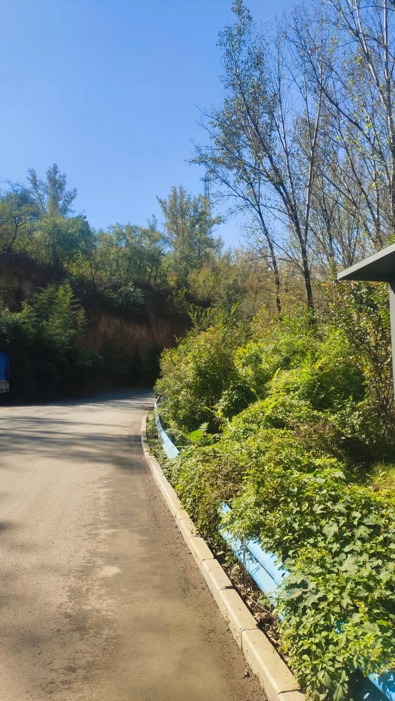 一张图看懂河南省洛阳市洛宁县近1天疫情数据/洛宁县疫情防控指挥部最新消息