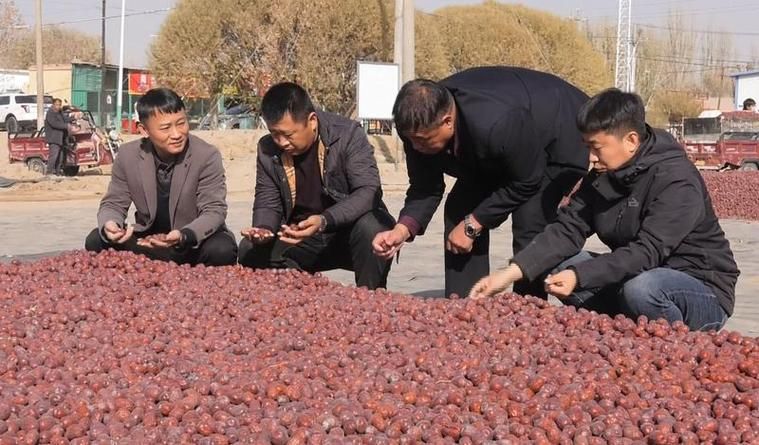 新疆维吾尔自治区喀什地区麦盖提县今日境外输入数据播报(喀什地区麦盖提县有哪些小区)