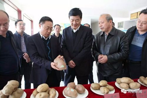 岚县新增重症30例，均在广西壮族自治区百色市靖西市/岚县百科