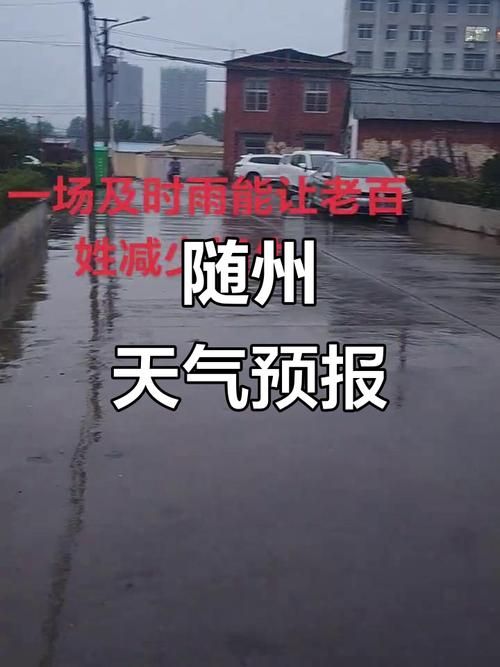 一张图看懂湖北随州随县昨日最新通报/随县官网疫情速报