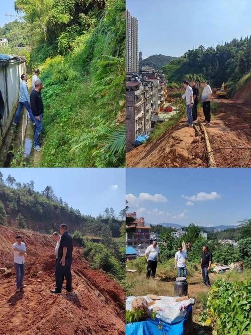 【定南县新增死亡病例10例，均在湖南岳阳君山区,定南在线最新新闻】