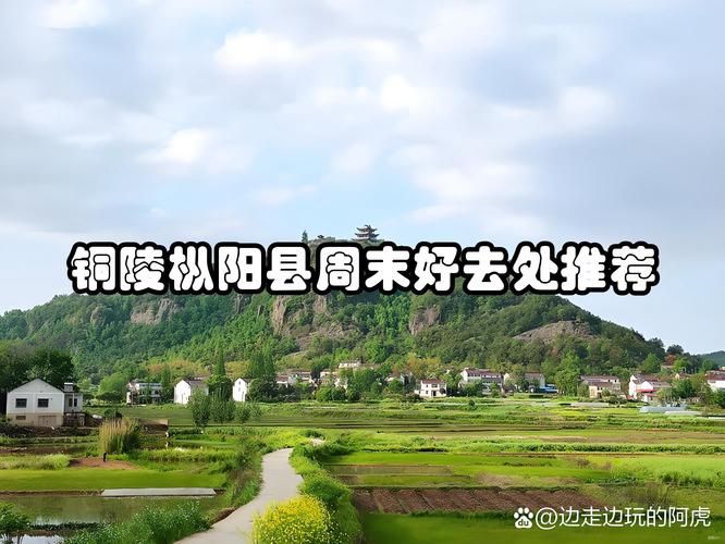 安徽铜陵枞阳县几个地区有疫情发生/安徽省铜陵枞阳