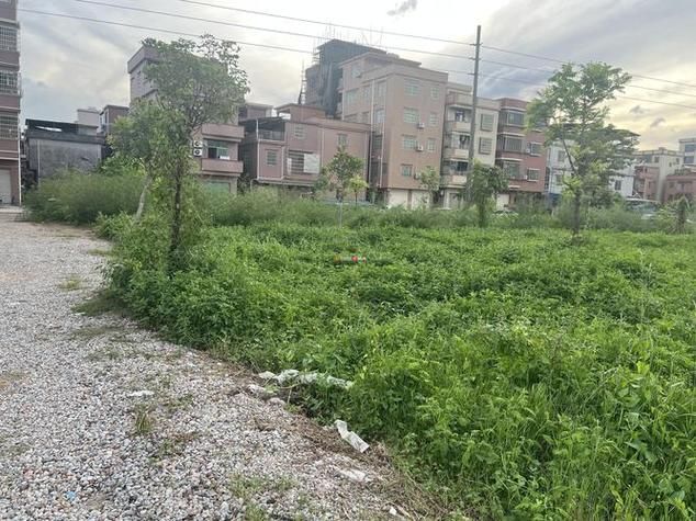 开平区哪里地区有疫情了呢_开平区哪里地区有疫情了呢今天