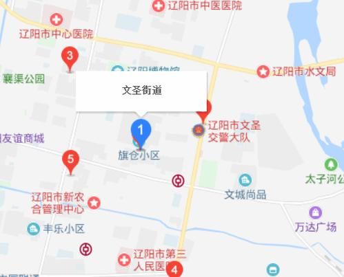 一张图看懂今日辽宁辽阳文圣区疫情_辽阳市文圣区最新地图