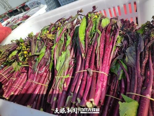 贵州黔东南苗族侗族自治州黄平县最新疫情临床_贵州黄平县最新信息