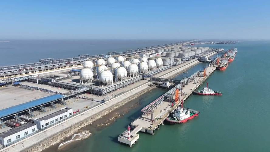 查找最新疫情山东省东营市东营港经济开发区/今天东营港最新冠病毒