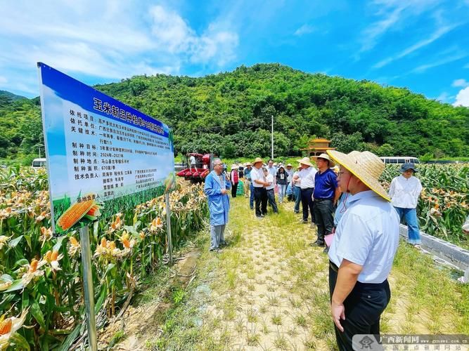【马山县近期核酸阳性疫情趋势,马山县新增病例详细信息】