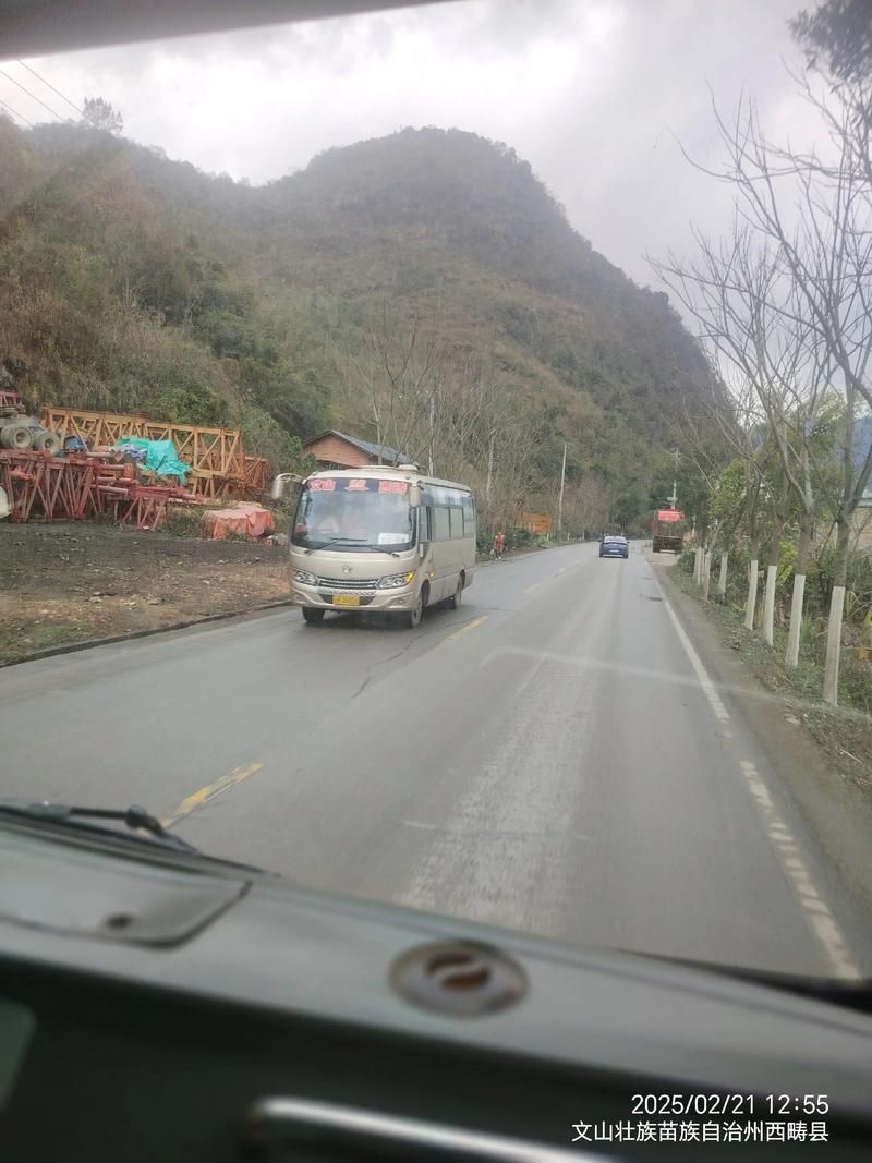 云南文山壮族苗族自治州麻栗坡县几个地区有疫情发生/云南省文山州麻栗坡
