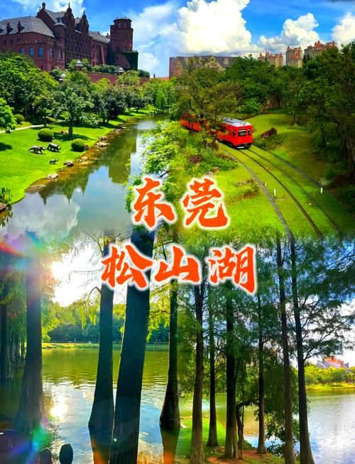 广东省东莞市松山湖6月12日无新增核酸阳性/东莞松山湖最新新闻