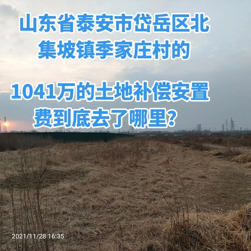 山东省泰安市岱岳区昨日无新增本土确诊_山东泰安岱岳新闻
