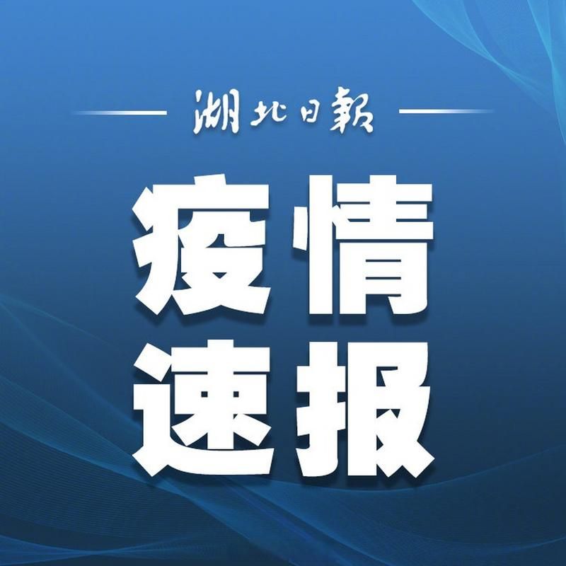 最新疫情情况通报湖北荆门东宝区_湖北省荆门市东宝区疫情