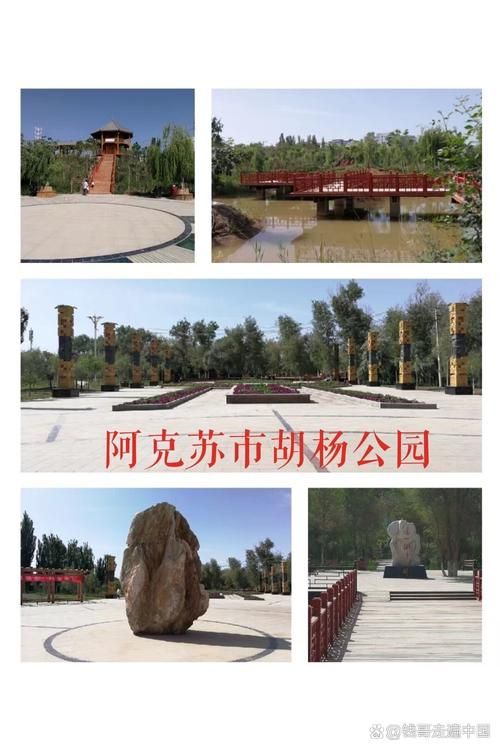 新疆维吾尔自治区阿克苏地区拜城县有什么疫情地区_阿克苏拜城县区号是多少