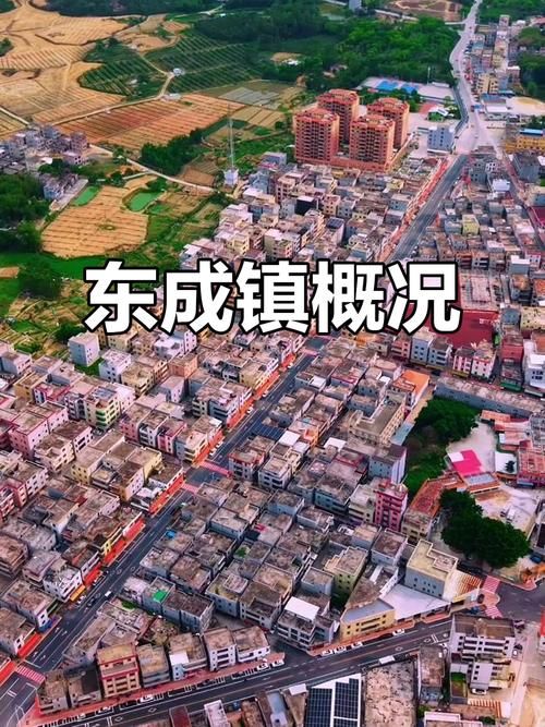 东成镇疫情地区分布_东成镇人口有多少人口