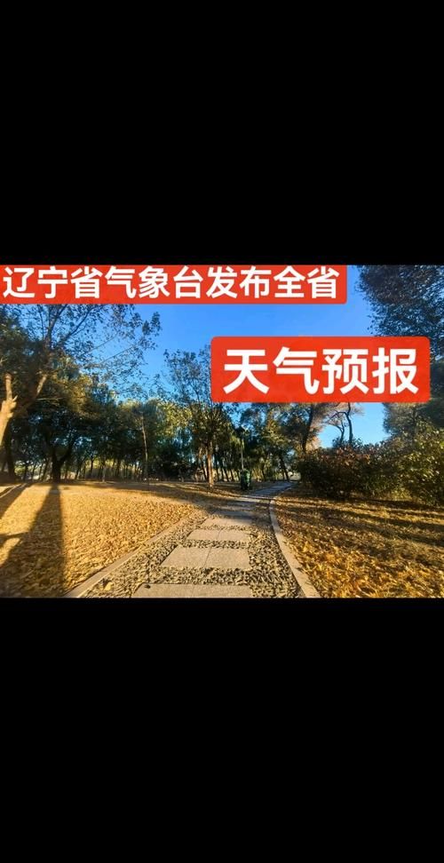 【今日疫情最新通报辽宁省丹东市元宝区_今日新鲜事丹东市元宝区天气预报】