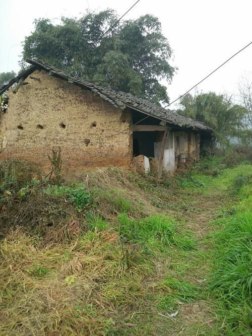 四川省乐山市五通桥区近期新增10例死亡病例的简单介绍