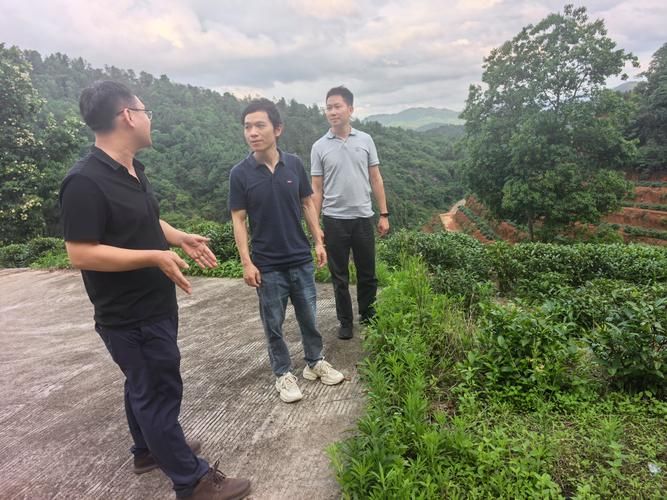 广东省河源市东源县最新疫情(广东省河源市东源县最新疫情消息)