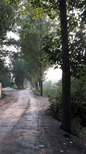 【疫情分布图最新微山县,疫情分布图最新微山县天气】
