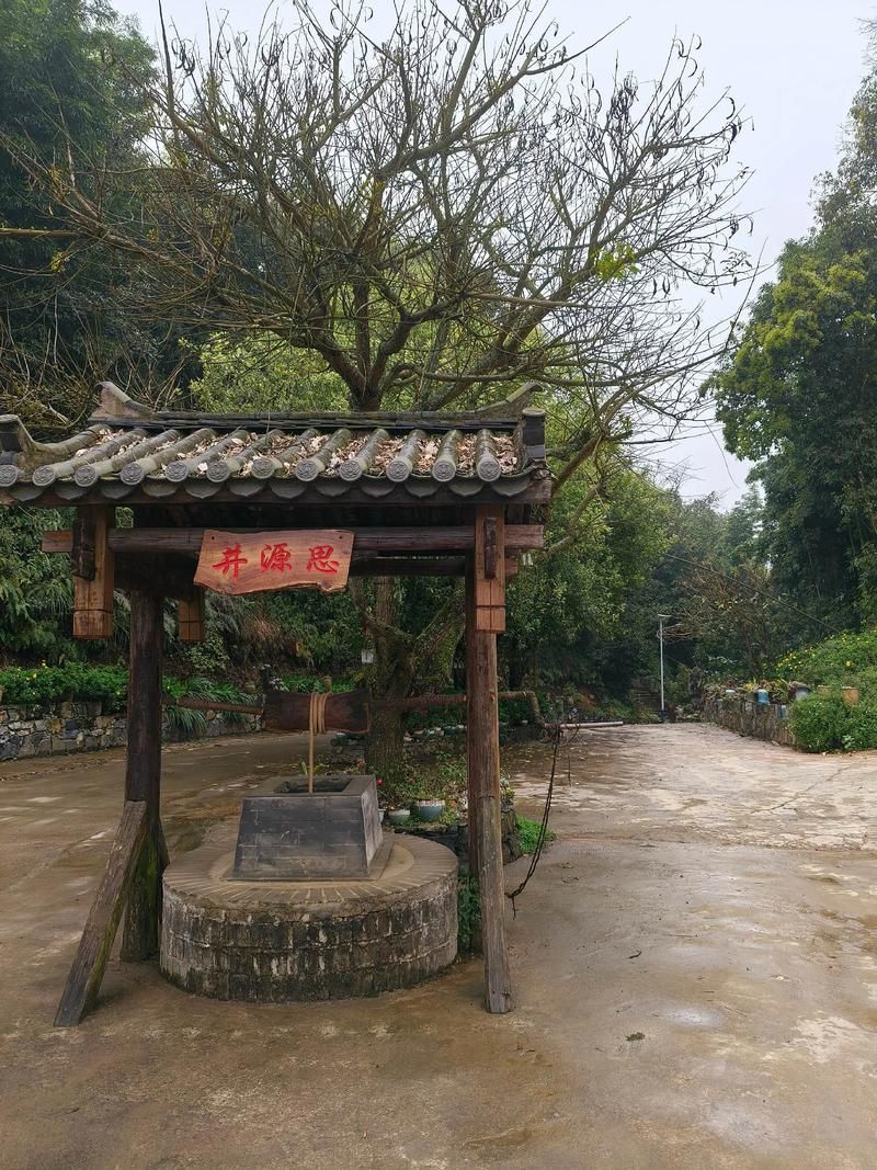 云南省文山壮族苗族自治州马关县最新通告：所有人员管控区/文山市马关镇
