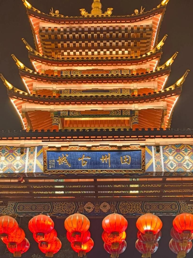 一张图看懂12月9日广西壮族自治区百色市田阳区疫情(广西百色田阳疫情最新消息)